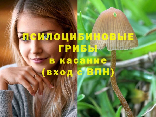 Альфа ПВП Михайловка