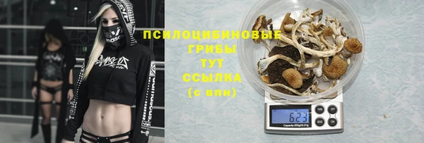 Альфа ПВП Михайловка