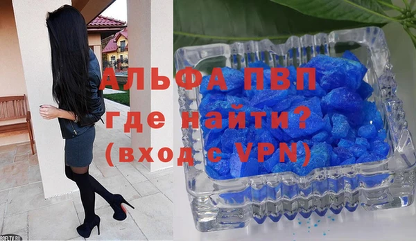 стафф Михайлов