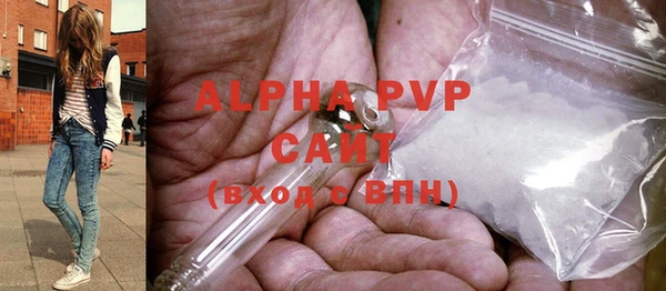 стафф Михайлов
