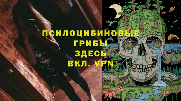 стафф Михайлов