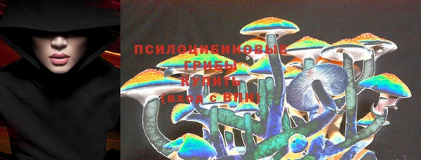 стафф Михайлов