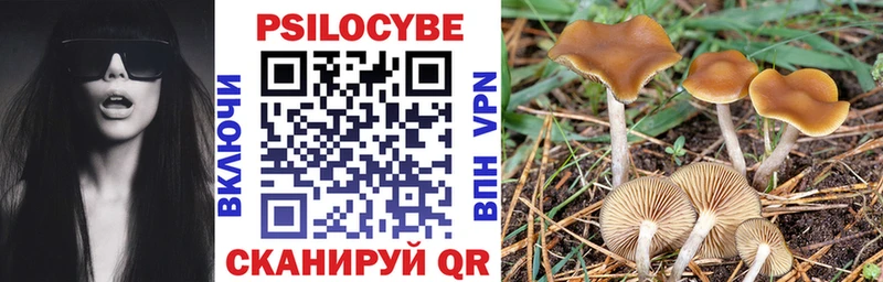 Купить  Черемхово  Галлюциногенные грибы Magic Shrooms 